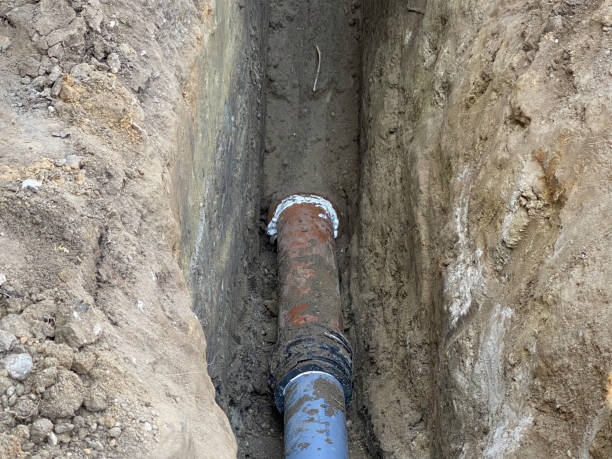 Best Basement water damage restoration  in Knox, PA