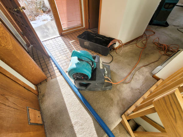 Best Carpet water damage restoration  in Knox, PA