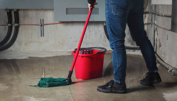 Best Professional water damage repair  in Knox, PA