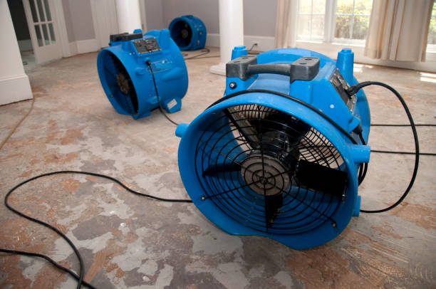 Best Water damage restoration cost  in Knox, PA