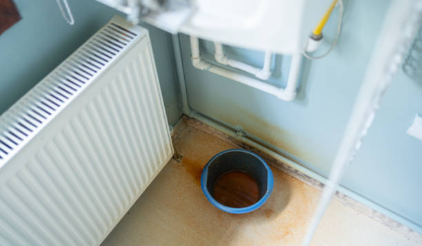 Best Water damage repair service  in Knox, PA